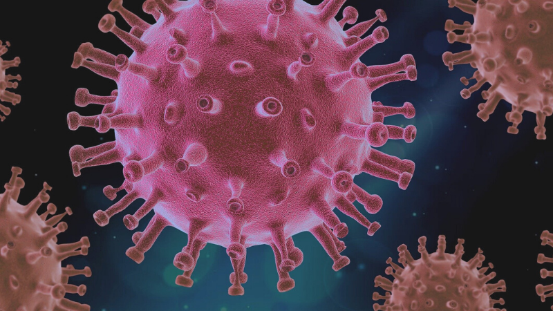 Un informe del Ejército prevé más oleadas de coronavirus y que no habrá vacuna hasta el año que viene