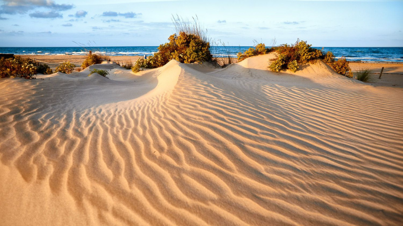dunas playa de gandia