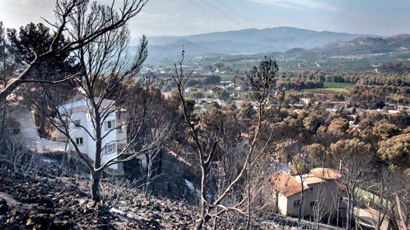 OCG / Foto: Safor Guia incendio forestal declarado el pasado 6 de agosto en Llutxent